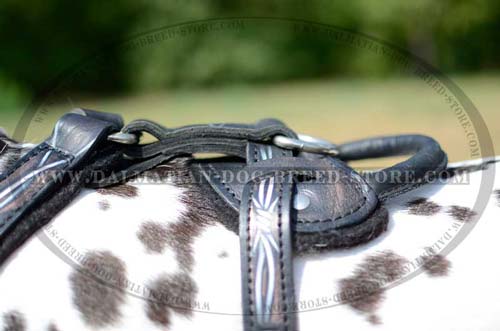 Dalmatian comfy leather harness