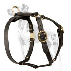 Dalmatian leather dog harness stitched