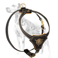 Dalmatian royal leather harness