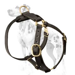 Dalmatian leather dog harness