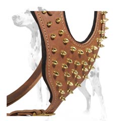 Dalmatian reliable leather dog harness