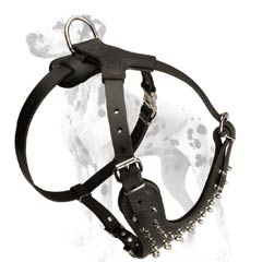 Dalmatian reliable leather dog harness