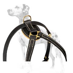 Durable Dalmatian puppy harness