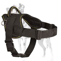 Dalmatian nylon pulling harness