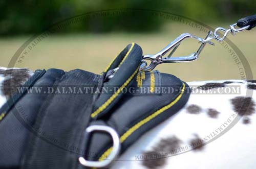 Dalmatian specially designed nylon dog harness