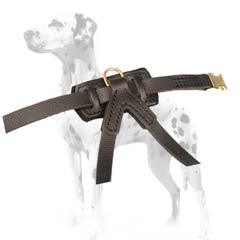 Durable Dalmatian puppy harness