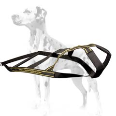 Dalmatian extra strong nylon harness