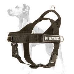 Nylon dog harness with id patches for Dalmatian