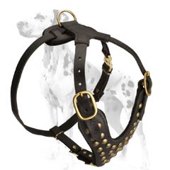 Best Dalmatian breed harness