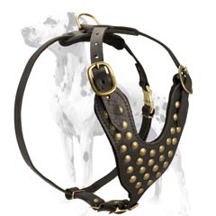 Dalmatian breed durable leather harness