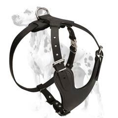 Dalmatian reliable leather dog harness