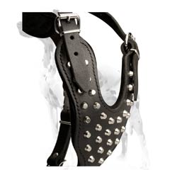 Dalmatian breed strong genuine leather harness