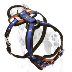 Dalmatian harness with safe felt padding