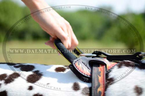 Dalmatian Harness with soft felt padding