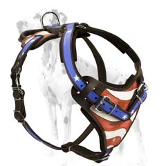 Genuine leather harness for Dalmatian