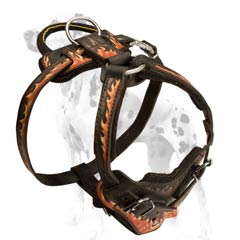 Dalmatian harness with interior padding