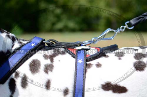 Dalmatian painted leather harness with D-ring