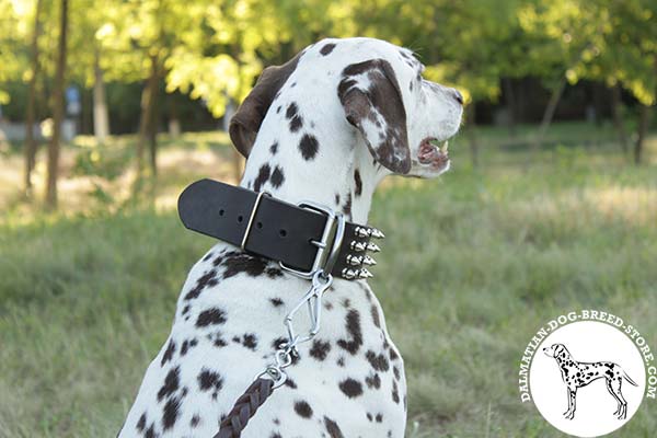 Dalmatian leather leash with strong nickel plated hardware for quality control