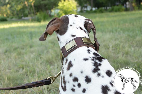 Dalmatian leather leash with rust-resistant hardware for quality control