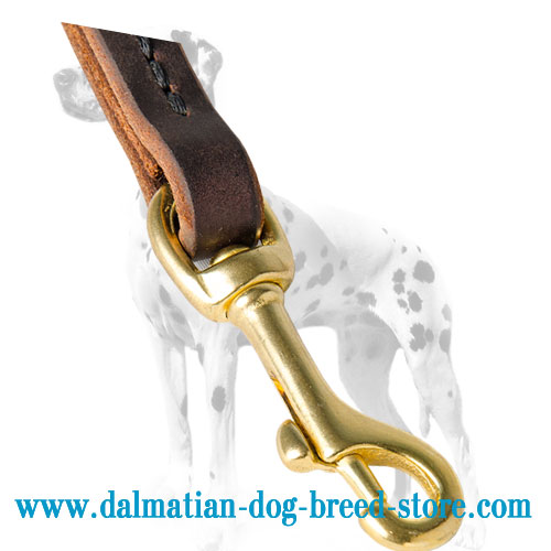 Brass snap hook of Dalmatian dog pull tab lead