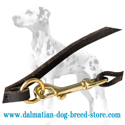 Dog leash for Dalmatian, O-rings and 2 snap hooks for multimode use