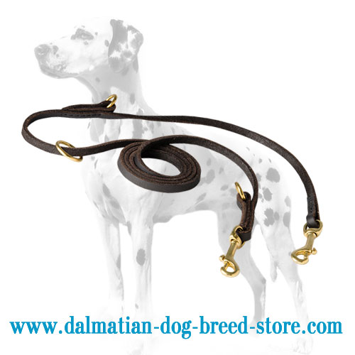 Dalmatian dog lead with 2 snap hooks and several O-rings
