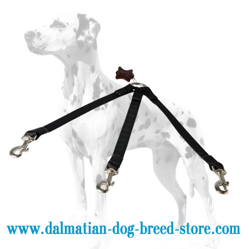 nylon dog triple lead, strong and reliable
