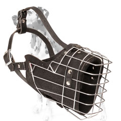 Dalmatian exclusive muzzle for training sessions