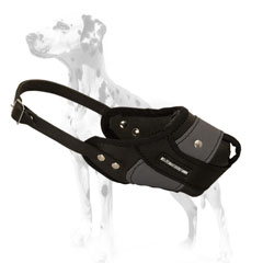 Padded leather-nylon Dalmatian dog muzzle