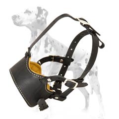 Muzzle for Dalmatian made of soft leather