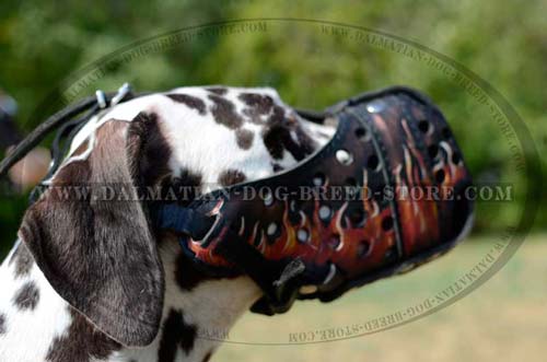 Dalmatian hand-made muzzle