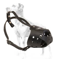 Strong and durable dog muzzle