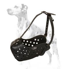 Muzzle for Dalmatian made of leather