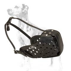 Dalmatian incredibly tear resistant muzzle