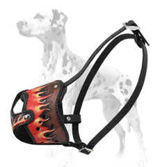 Painted in Flames Dalmatian Leather Muzzle