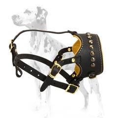 Muzzle for Dalmatian with nappa leather padding