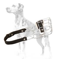 Muzzle for Dalmatian