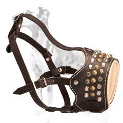 A gorgeous studded dog muzzle