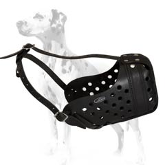 Higly estimated by customers leather muzzle