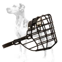 Splendid wire cage muzzle for Dalmatian