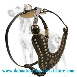 Exclusively Hand-decorated Leather Dog Harness for Dalmatian breed