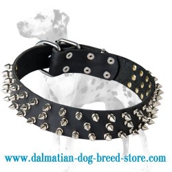'Spiked Holiday' Dalmatian Dog Collar