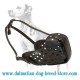 Best Fit Dog Training Muzzle for Dalmatian