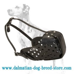 Best Fit Dog Training Muzzle for Dalmatian