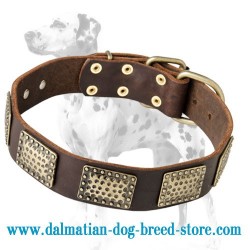 Dalmatian Leather Dog Collar with Plates Design