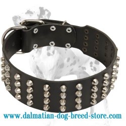 Extra Wide Leather Dalmatian Dog Collar with 4 Rows of Pyramids