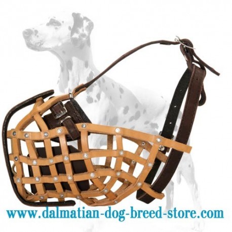 Military style leather dog muzzle for Dalmatian