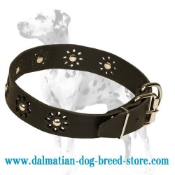 'Elegant Flower' Dalmatian Dog Collar with Decorations