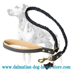 Deluxe Full-Braided Dalmatian Dog Leash