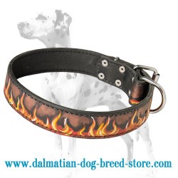 Superb Leather Dog Collar with Flame Painting for Dalmatian